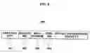 Fig. 07 - Method of protecting broadcast frame, terminal authenticating broadcast frame, and access point broadcasting broadcast frame