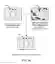 Fig. 19 - Authentication of identification documents