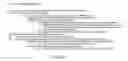 Fig. 20 - Authentication of identification documents