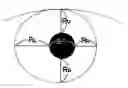 Fig. 01 - IRIS IMAGE DATA PROCESSING FOR USE WITH IRIS RECOGNITION SYSTEM
