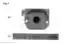 Fig. 07 - IRIS IMAGE DATA PROCESSING FOR USE WITH IRIS RECOGNITION SYSTEM