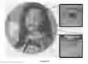 Fig. 10 - Banknotes with a printed security image that can be detected with one-dimensional signal processing