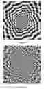 Fig. 27 - Banknotes with a printed security image that can be detected with one-dimensional signal processing