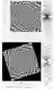 Fig. 31 - Banknotes with a printed security image that can be detected with one-dimensional signal processing