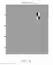 Fig. 06 - Multi-frequency image processing for inspecting parts having complex geometric shapes