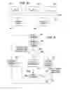 Fig. 07 - Method and system for nano-encoding and decoding information related to printed texts and images on paper and other surfaces