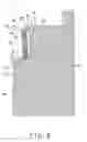 Fig. 07 - Linear motion guide apparatus having changeable wiper