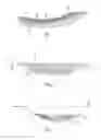 Fig. 02 - Method of manufacturing a wind turbine blade shell member