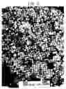 Fig. 06 - Method for manufacturing cubic copper or copper oxide nanoparticles