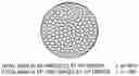 Fig. 01 - Polysilazane Thermosetting Polymers for Use in Chromatographic Systems and Applications
