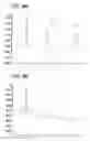 Fig. 06 - Polysilazane Thermosetting Polymers for Use in Chromatographic Systems and Applications