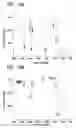 Fig. 08 - Polysilazane Thermosetting Polymers for Use in Chromatographic Systems and Applications