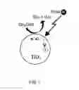 Fig. 02 - Gas ionization source