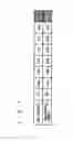 Fig. 02 - Plasma processing apparatus