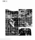 Fig. 03 - Macromolecular delivery systems for non-invasive imaging, evaluation and treatment of arthritis and other inflammatory diseases