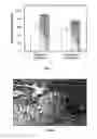 Fig. 02 - Methods for accelerating wound healing by administration of adipokines