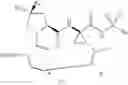 Fig. 09 - Hepatitis C virus inhibitors