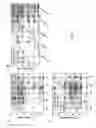 Fig. 05 - Method of promoting the differentiation of staminal cells