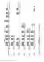 Fig. 33 - Hepatocyte growth factor receptor splice variants and methods of using same