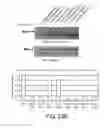 Fig. 65 - Hepatocyte growth factor receptor splice variants and methods of using same