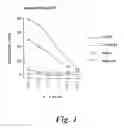 Fig. 02 - Immunotherapeutic methods using epitopes of WT-1 and GATA-1