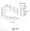 Fig. 06 - Immunotherapeutic methods using epitopes of WT-1 and GATA-1