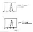 Fig. 09 - Humanized immunoglobulins