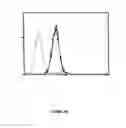 Fig. 49 - Humanized immunoglobulins