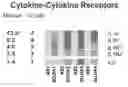 Fig. 01 - Compositions and methods for the systemic treatment of arthritis