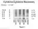 Fig. 02 - Compositions and methods for the systemic treatment of arthritis