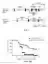 Fig. 02 - Compositions and methods for treating inflammation and auto-immune diseases