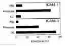 Fig. 01 - Composition and method for modulating dendritic cell-t cell interaction