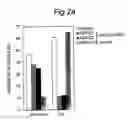 Fig. 04 - Composition and method for modulating dendritic cell-t cell interaction