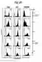 Fig. 05 - Composition and method for modulating dendritic cell-t cell interaction