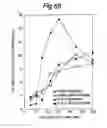 Fig. 12 - Composition and method for modulating dendritic cell-t cell interaction