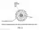 Fig. 03 - Vaccine delivery compositions and methods of use