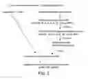 Fig. 04 - Vaccine delivery compositions and methods of use