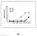Fig. 05 - Novel Uses for Proton Pump Inhibitors