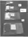 Fig. 07 - SYSTEM AND METHOD FOR PACKAGING VEGETABLES