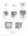 Fig. 08 - SYSTEM AND METHOD FOR PACKAGING VEGETABLES