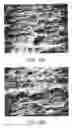 Fig. 06 - Implant surface preparation