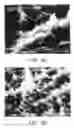 Fig. 07 - Implant surface preparation