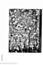 Fig. 12 - Method for Manufacturing Zeolite Membrane