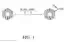 Fig. 02 - Organically functionalized carbon nanocapsule