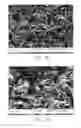 Fig. 06 - Conductive-structured electrode