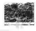 Fig. 07 - Conductive-structured electrode