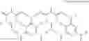 Fig. 13 - Planographic printing plate material, and method of preparing planographic printing plate employing the same