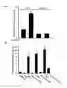 Fig. 01 - Methods and Compounds for Treating Inflammation