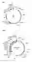 Fig. 09 - Mutant alpha-amylases