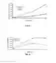 Fig. 03 - Artificial biomembrane and the method for manufacturing the same